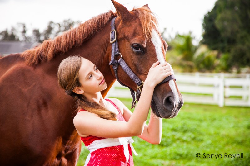 44-horse-stable-sonya-revell-