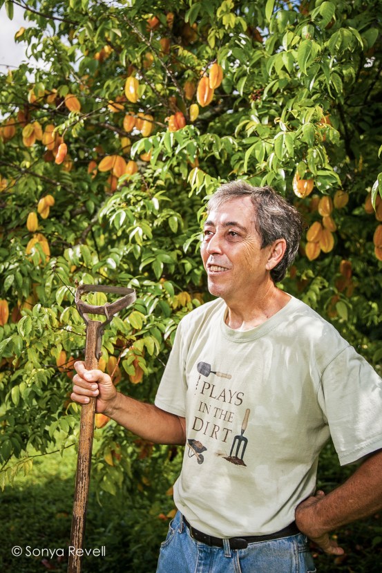 andres-mejides-organic-gardening-sonya-revell andres-mejides-organic-gardening-sonya-revell