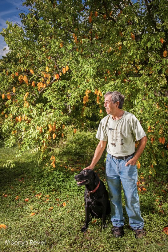 andres-mejides-organic-gardening-sonya-revell